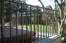 Fence 2010 06